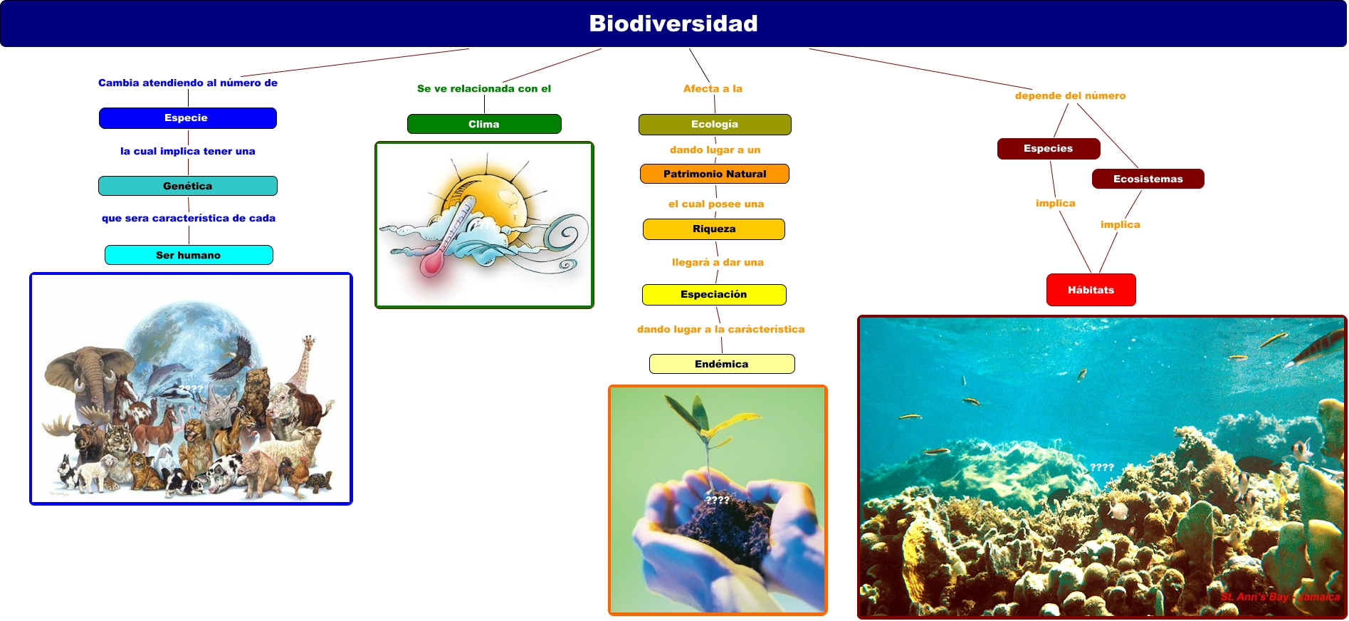 Mapa conceptual biodiversidad 1